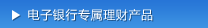 电子银行专属理财产品